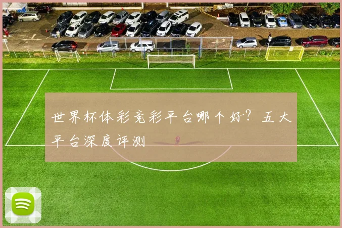 世界杯体彩竞彩平台哪个好？五大平台深度评测