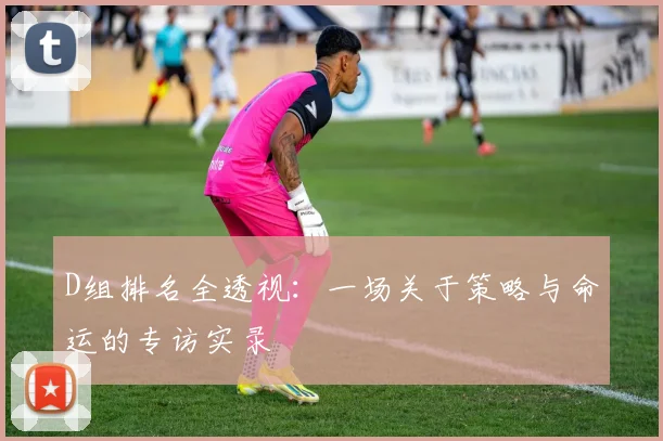 D组排名全透视：一场关于策略与命运的专访实录