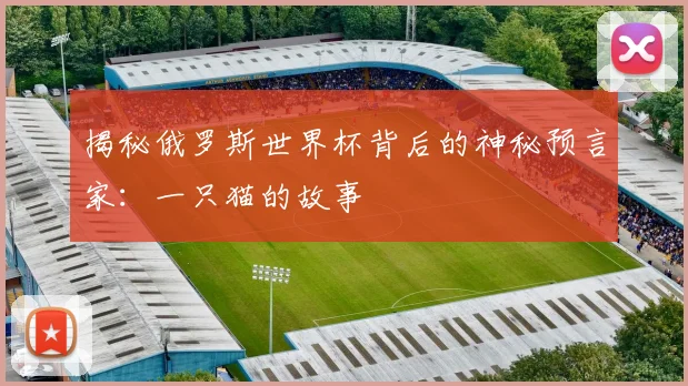 揭秘俄罗斯世界杯背后的神秘预言家：一只猫的故事